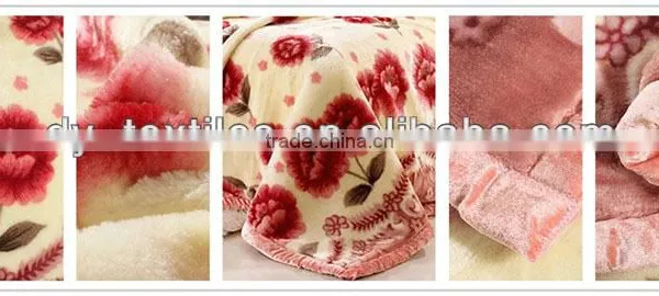 Made In China Winter Flower Plain Dyed Mink Blanket photo-4