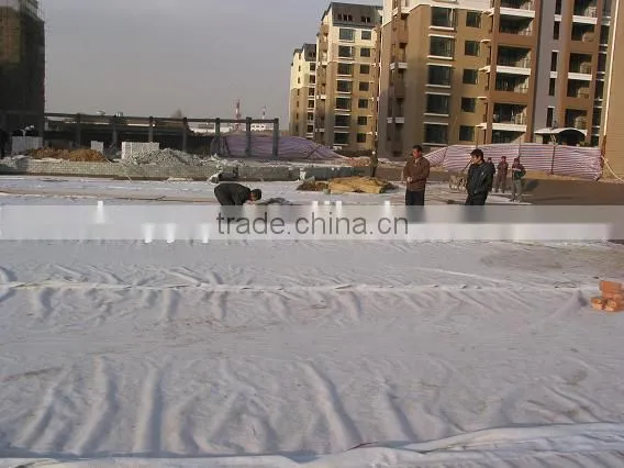 PET Woven Fabric for Building Construction Materials photo-3