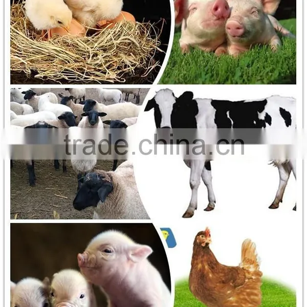 Special Beneficial Bacteria for Fermentation Bed photo-2