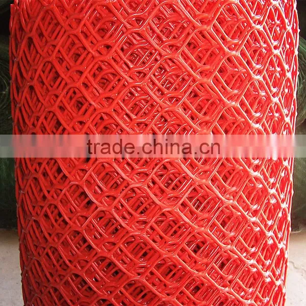 Plastic Diamond Netting photo-4