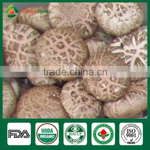 Shiitake Mushroom,Shiitake Mushroom Log ,Forest Shiitake Mushrooms photo-4