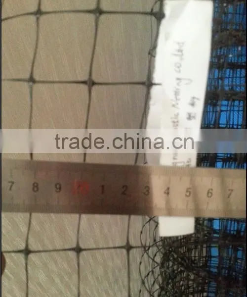 Manufacture of Poultry Netting /plastic Chicken Netting photo-6