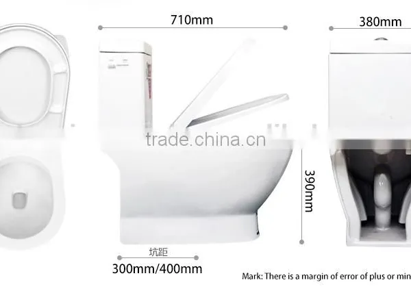 Dennis 2086 White Color One Piece Vitreous China Toilets photo-2
