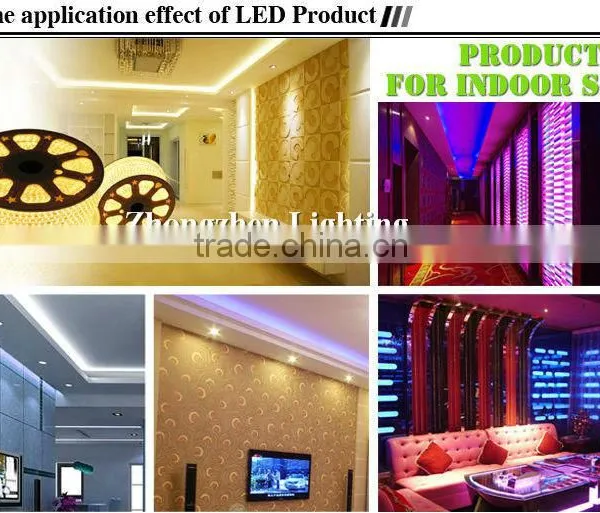 Outdoor Building Projection Lighting 110V Led Flexible Hose Light photo-6