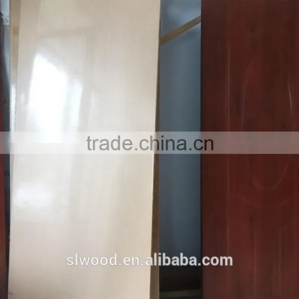 PVC Finished Interior Door