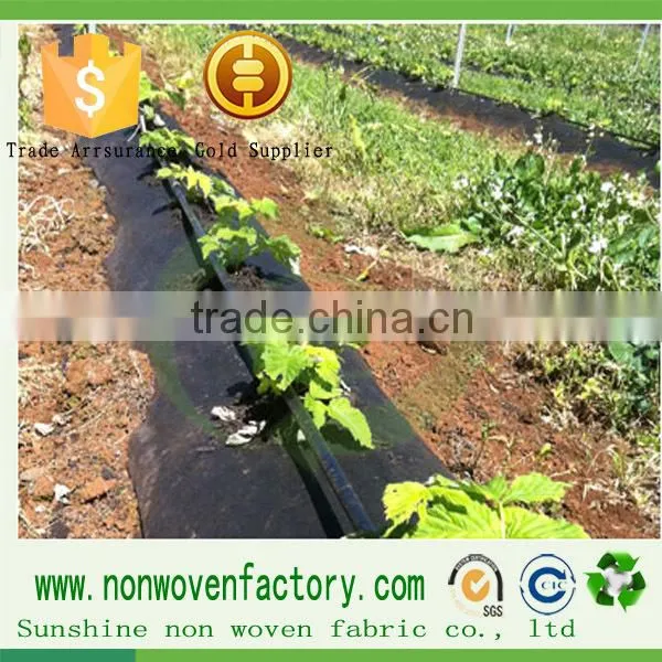 Sample Book for Fabric Weed Control Fabric Perforated Landscape Fabric photo-3
