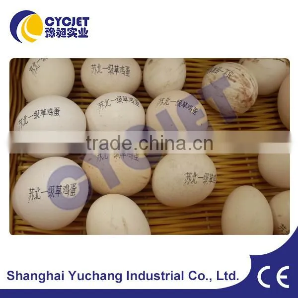 Expiry Date Stamping Machine/ALT390 Lot Number Printing Machines photo-3