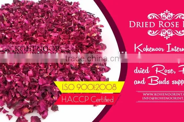 Dried Rose Flower photo-4