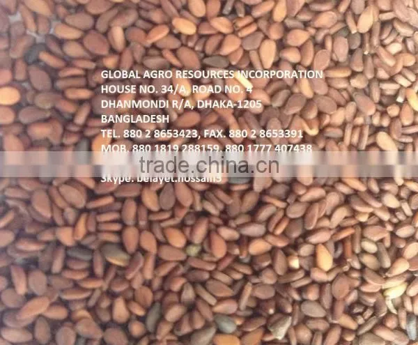 20,000 MTS BROWN SESAME SEED