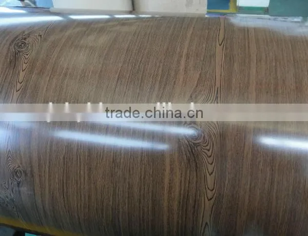 New Prepainted Galvanized Steel Coils/sheet
