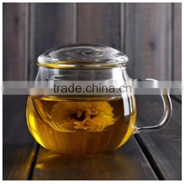 All Kinds of Tea Pot Mouth-blowing Heat Resistant Borosilicate Glass Tea Pot With Handle and Filter photo-5
