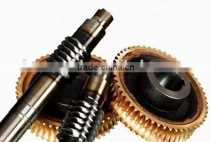 More Than 20 of the Transmission Parts Are Often the Highest Quality of Worm Gear and Worm Industry photo-2