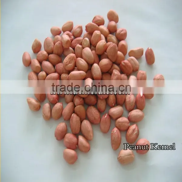 Peanut Kernel photo-3