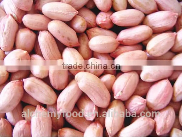 Supplier of Peanuts Kernel and Peanuts Kernel Buyer From All Over the World photo-2