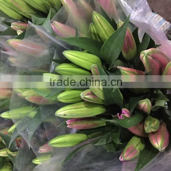 Fresh Cut Flowers Multi Stem Lily Flowers photo-2