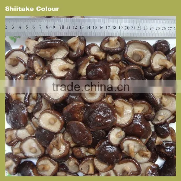 Shiitake ,shiitake Mushroom