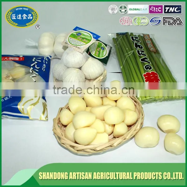 2016 Garlic Sprout,garlic Sprout Price photo-5