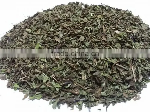 Spearmint Leaves