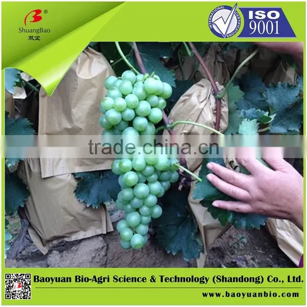 100% Water Soluble Fertilizer With Humic Acid 13-4-17 photo-3