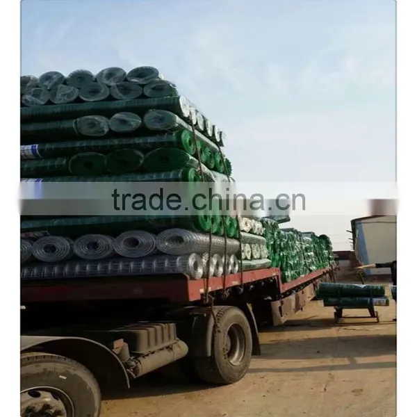 High Zinc Coated Galvanized Welded Wire Mesh Prices photo-3