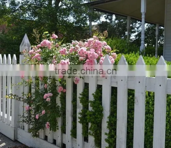 Outdoor Wooden Garden Fence photo-6