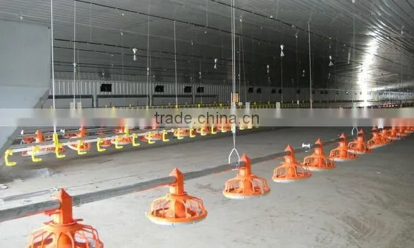 Automatic Farm Chicken Poultry Equipment/poultry Farm Equipment photo-4