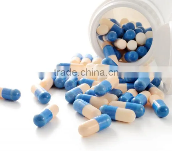 High Precision NJP-800c Fully Automatic Small Capsule Filler for Medicine Capsule photo-5