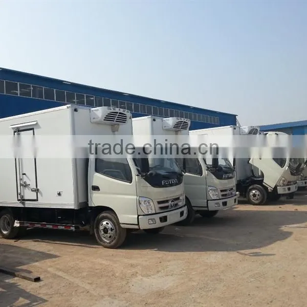 Fiberglass Truck Body/refrigerated/freezer Van Body for Fish photo-2