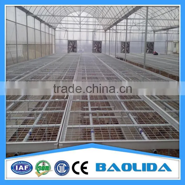 Galvanized Steel Pipes Greenhouse For Agriculture Farming photo-4