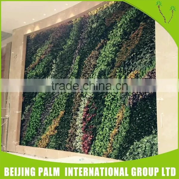 Cheap High Imitation Plastic Imitation Plastic Green Wall/Artificial Plant photo-5