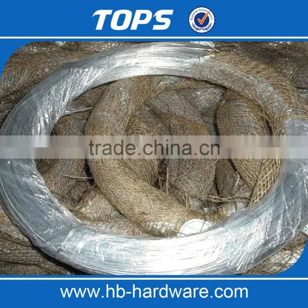Electro Galvanized Iron Binding Wire photo-3