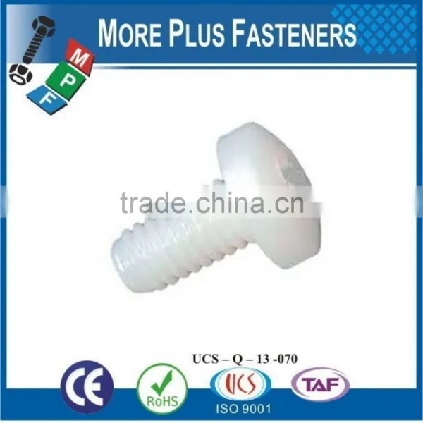 Made in Taiwan Hex Socket Plastic Cap Screw Cross Recess Pan Head Plastic Material Screw photo-4