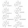 Danshen Extract Tanshinones