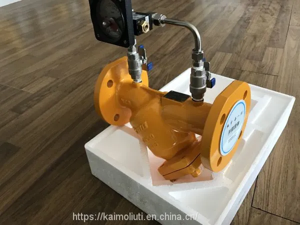 WCB Y Strainer Filter With Differential Pressure Gauge for Natural Fuel Gas photo-5