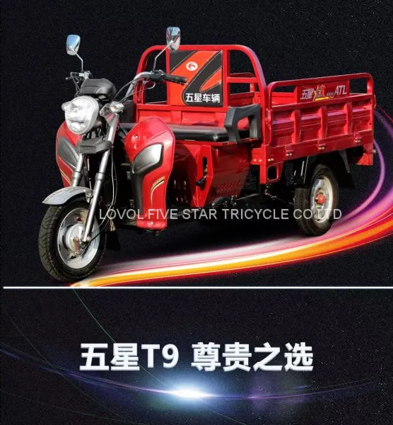 Gasoline Tricycle Cargo Loader Lovol Three Wheeler Mali Ethiopia Ghana Bukina Faso Tanzania Kenya Senegal Togo Benin Nigeira Mauritania Angola Burundi Chad Cameroon C ô te D'Ivoire Gabon Guinea Mozambique Rwanda Congo Uganda Zimbabwe photo-2