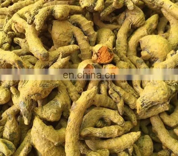 Dried Tumeric Whole/ Sliced High Curcumin in Vietnam photo-2