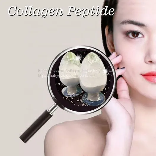 Collagen Factory Marine Fish Small Molecule Fish collagen peptides hydrolyzed