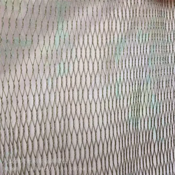 Good Quality Manufacturer Supply Plain Weave 316 304 Rope Mesh Net/Stainless Steel Wire Mesh photo-5