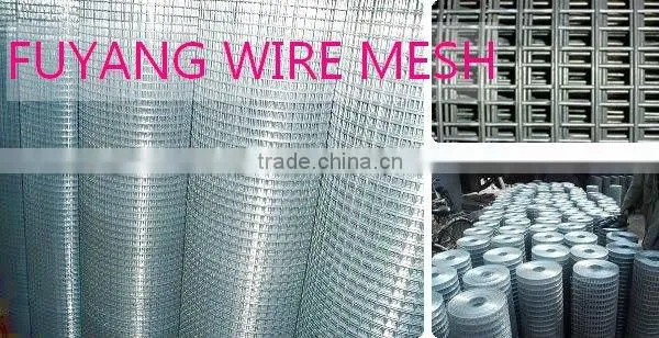 Galvanized Welded Wire Mesh