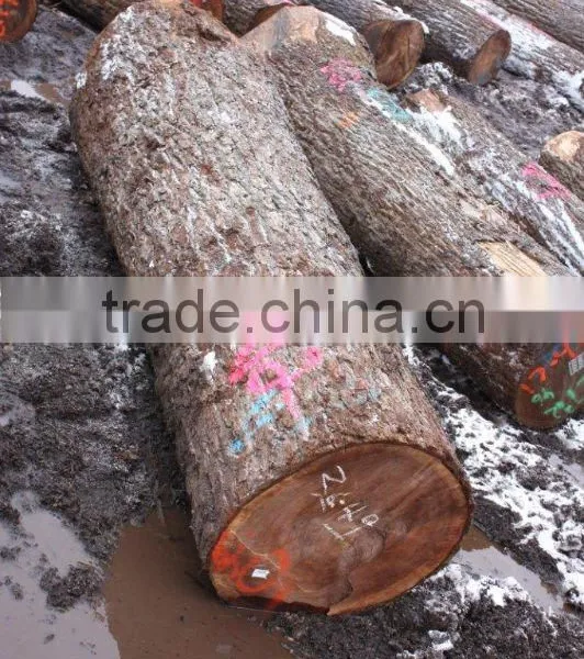 Black Walnut Veneer Logs