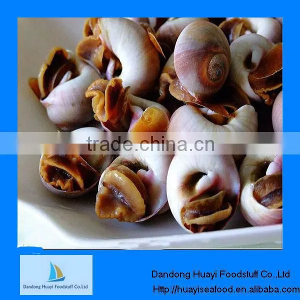 Frozen Seafood for Snail