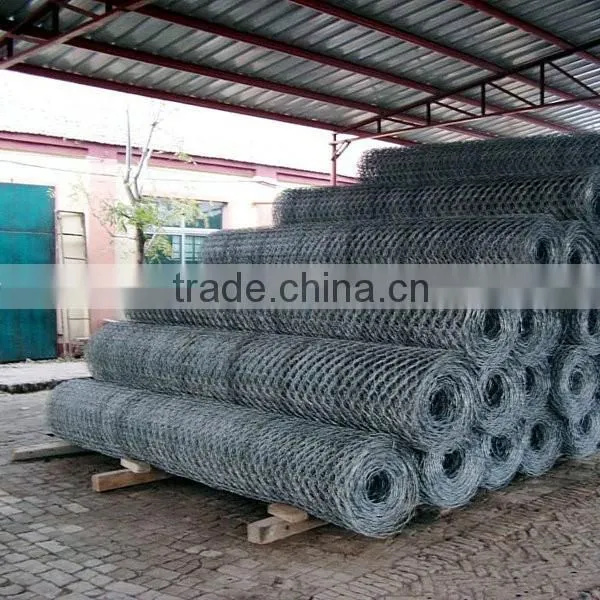 Hexagonal Wire Net Made in China Express photo-3