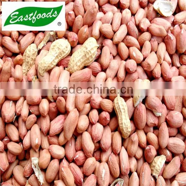 New Crop Peanut Kernel photo-4