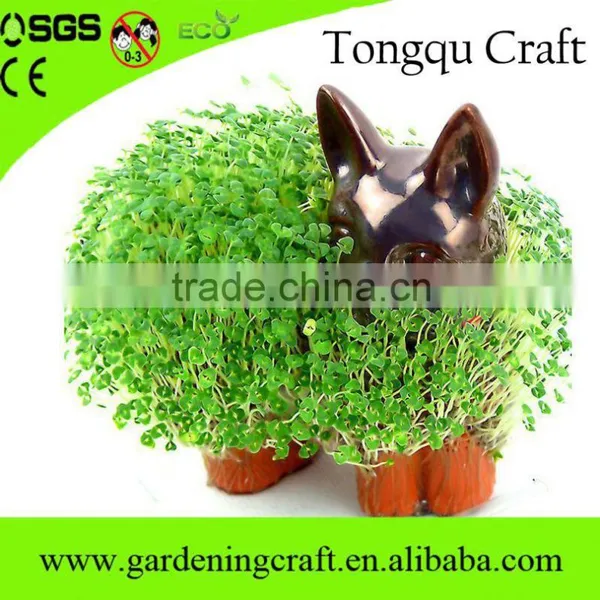 Cheap Bulk Gifts Chia Pet Best Electronic Christmas Gifts 2015 Birthday Gifts for Men