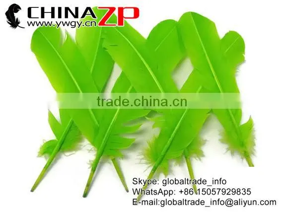 CHINAZP Wholesale Cheapest Bulk Dyed Lime Green Solid Color Turkey Feather for Fashion Decoration photo-3