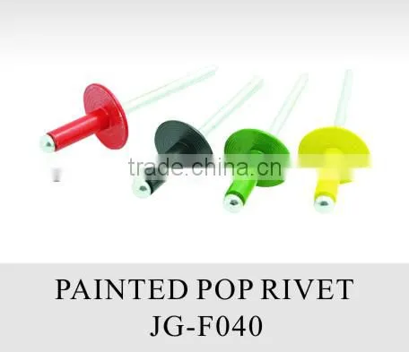 Factory Produce Painted Pop Rivets