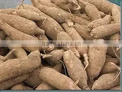 CASSAVA FLOUR photo-4