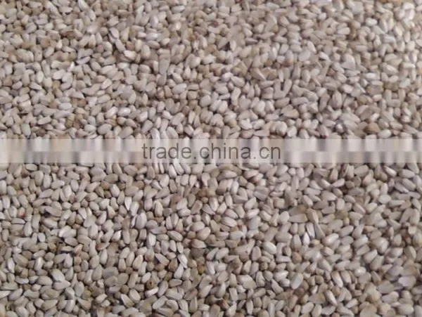Safflower Seed