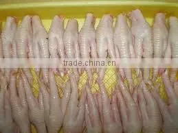 Halal Processed Frozen Chicken Feets and Paws