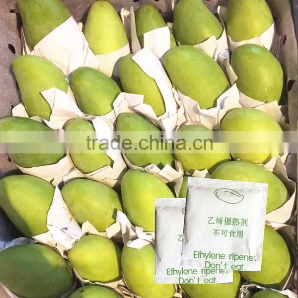 Factory Direct Price Mango Ripener Ethylene for the Fresh Fruit Very Salable photo-3